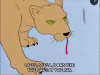 season 11 episode 20 GIF