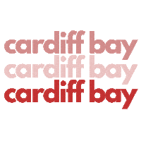 Cardiff Bay Wales Sticker by CELT Language School