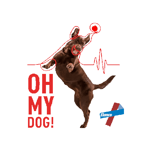 Dog Pet Sticker by Elanco Brasil