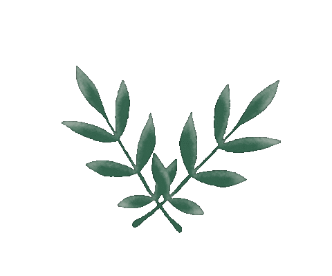 Maximeee giphyupload nature green tree Sticker