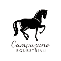 Dressage Horse Sticker by BeYouCreate