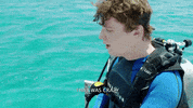 Shark Week Immersion GIF by Shark Week