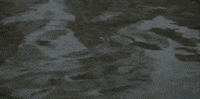 water river GIF by Charles Pieper