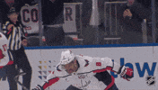 National Hockey League Goal GIF by NHL