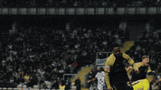 Celebration Goal GIF by Sporting CP