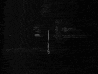 bela lugosi art GIF by hoppip