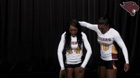 Stunt GIF by CUCougars