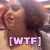 What The Hell Wtf GIF