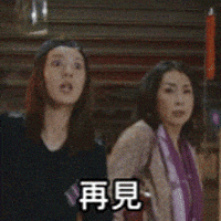 Tiger Mirror GIF by ViuTV