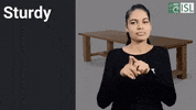 Sign Language GIF by ISL Connect
