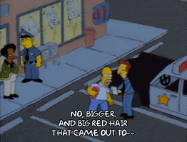 Season 1 GIF by The Simpsons