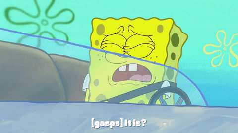 season 9 lost in bikini bottom GIF by SpongeBob SquarePants