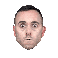 Face Wtf Sticker