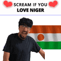 Niger Flag Ne Sticker