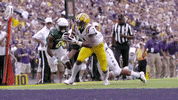 Lsu Football Lsufb19 GIF by LSU Tigers