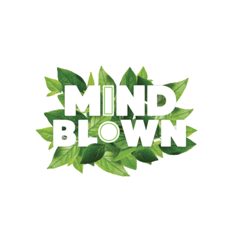 plantbasedseafoodco giphyupload mindblown plantbasedseafood plantbasedseafoodco Sticker