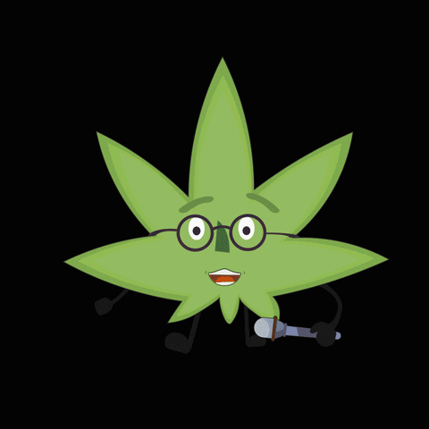greenbrothers giphyupload cannabis maconha weedlovers GIF