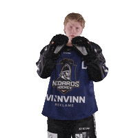 Trondheim Sticker by Nidaros Hockey