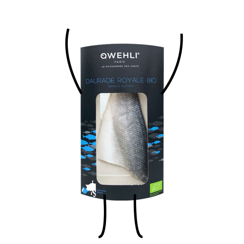 Fish Bio Sticker by QWEHLI