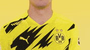 Happy Borussia Dortmund GIF by Bundesliga