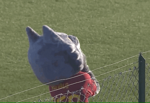 Wolf Love GIF by AS Roma