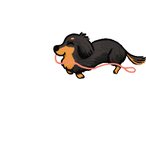 Sausage Dog Dachshund Sticker