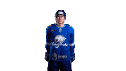Hockey Kazakhstan Sticker by barys_official