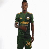 Major League Soccer Sport GIF by Timbers