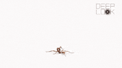 GIF by KQEDScience