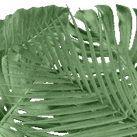 Summer Spring GIF by Vnukovo Outlet Village