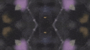 Art Film GIF by jorgemariozuleta