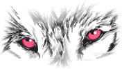 white wolf protein Sticker
