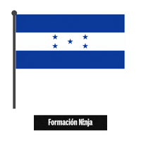 Flag Bandera Sticker by Formación Ninja