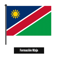 Flag Bandera Sticker by Formación Ninja