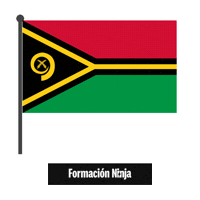 Flag Bandera Sticker by Formación Ninja