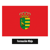 Comunidad De Madrid Flag Sticker by Formación Ninja