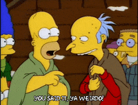 homer simpson GIF