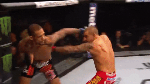 ufc mma GIF