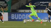 Football Sport GIF by VfL Wolfsburg