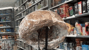 GIF by Alex Boya