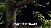 Slugs GIF by Eternal Family
