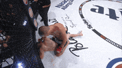 knock out mma GIF by Bellator
