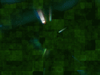 MFDtheArtist dance trippy weird light GIF