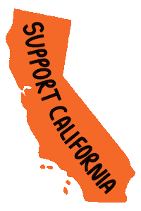 Black Lives Matter California Sticker by Bay Rising