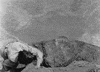 buster keaton thats real safe GIF by Maudit