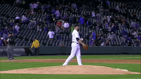 baseball cover GIF