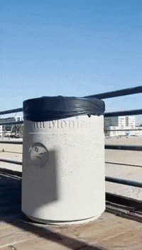 Nft Crypto GIF by SuperRareBears