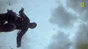 Bear Grylls GIF by National Geographic Channel