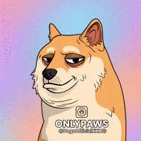 Shiba Inu Dog GIF by Doge Pound