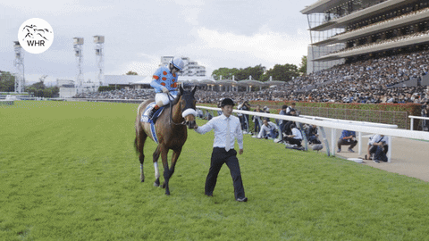 Japanese Horse Whr GIF by World Horse Racing
